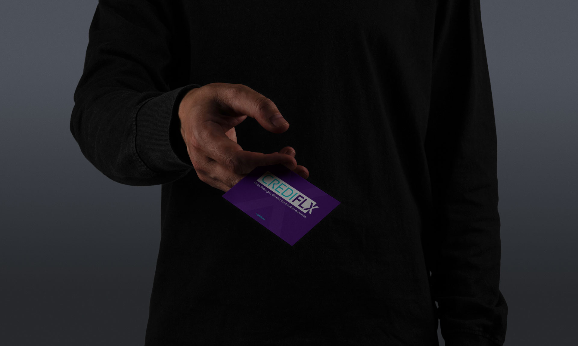 Sanders Art Direction, CREDIFLX, Roll-Up-Banner