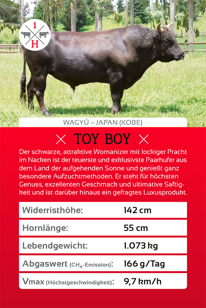 Sanders Art Direction, Hanse Meistermann AG, Cow Quartett