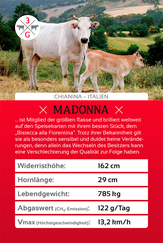 Sanders Art Direction, Hanse Meistermann AG, Cow Quartett