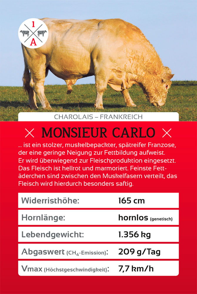 Sanders Art Direction, Hanse Meistermann AG, Cow Quartett