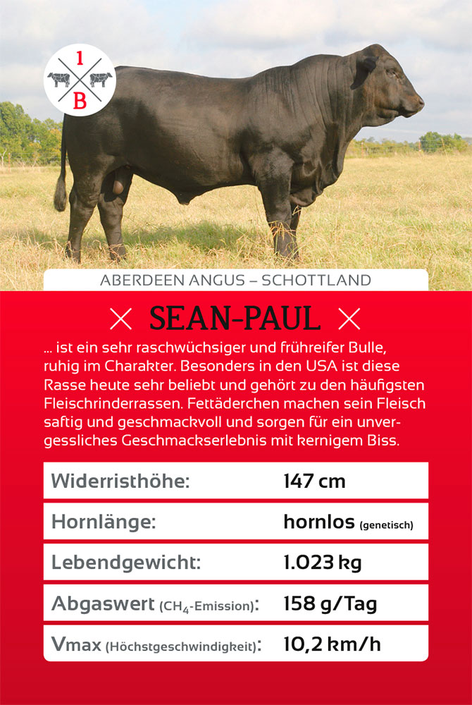 Sanders Art Direction, Hanse Meistermann AG, Cow Quartett