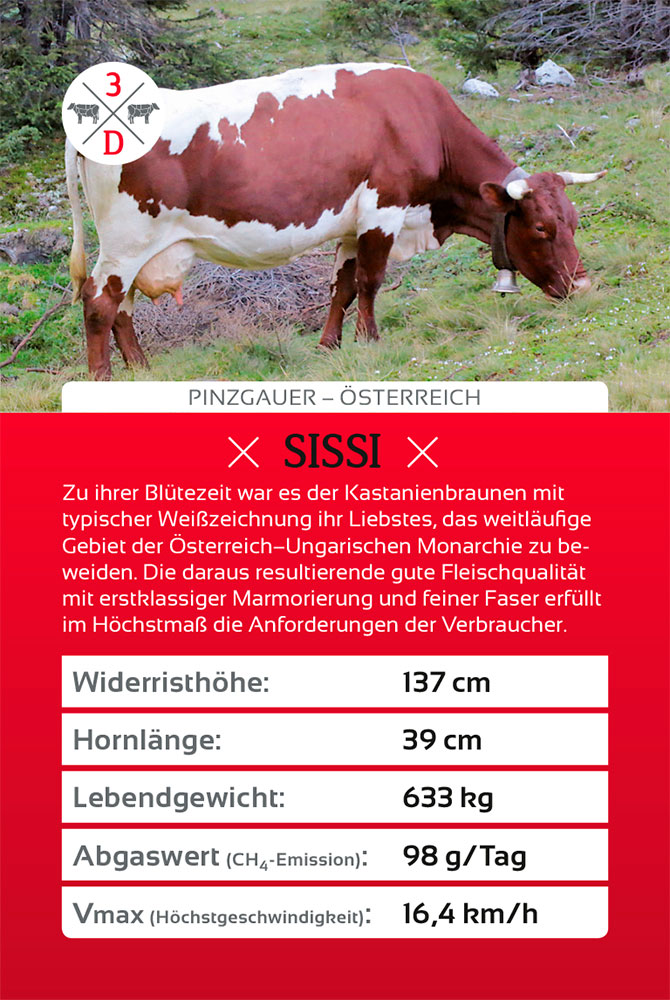Sanders Art Direction, Hanse Meistermann AG, Cow Quartett