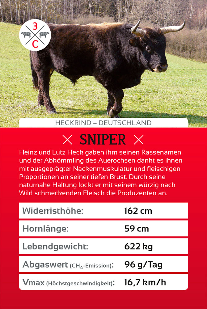 Sanders Art Direction, Hanse Meistermann AG, Cow Quartett